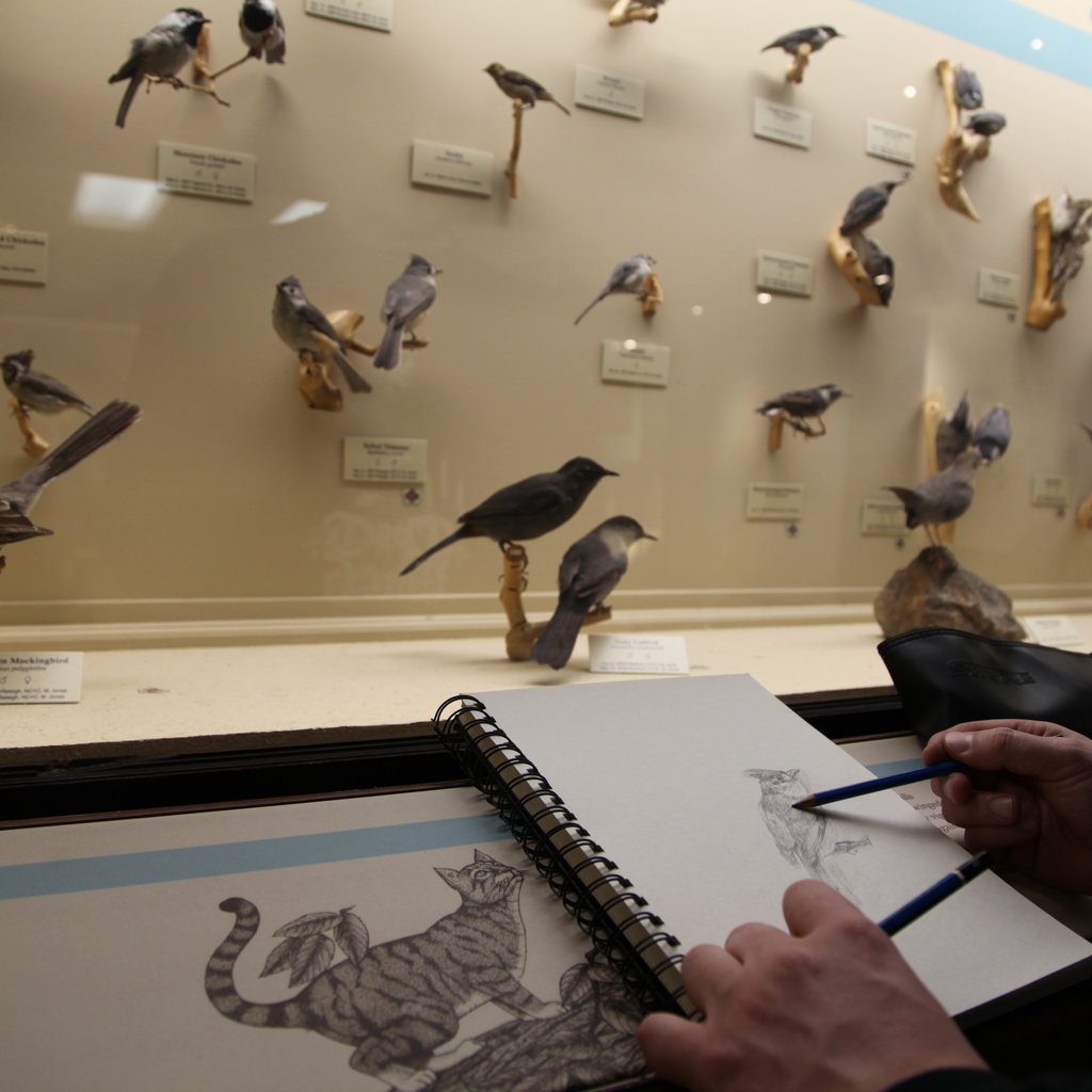 Art & Write Night (Special Edition) promotional image